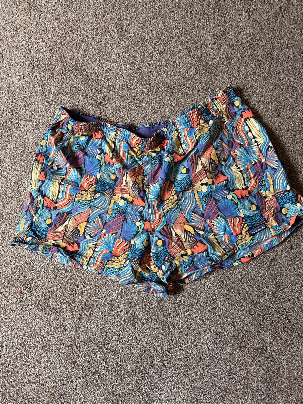 Women’s Multicolor Printed Patagonia Baggies